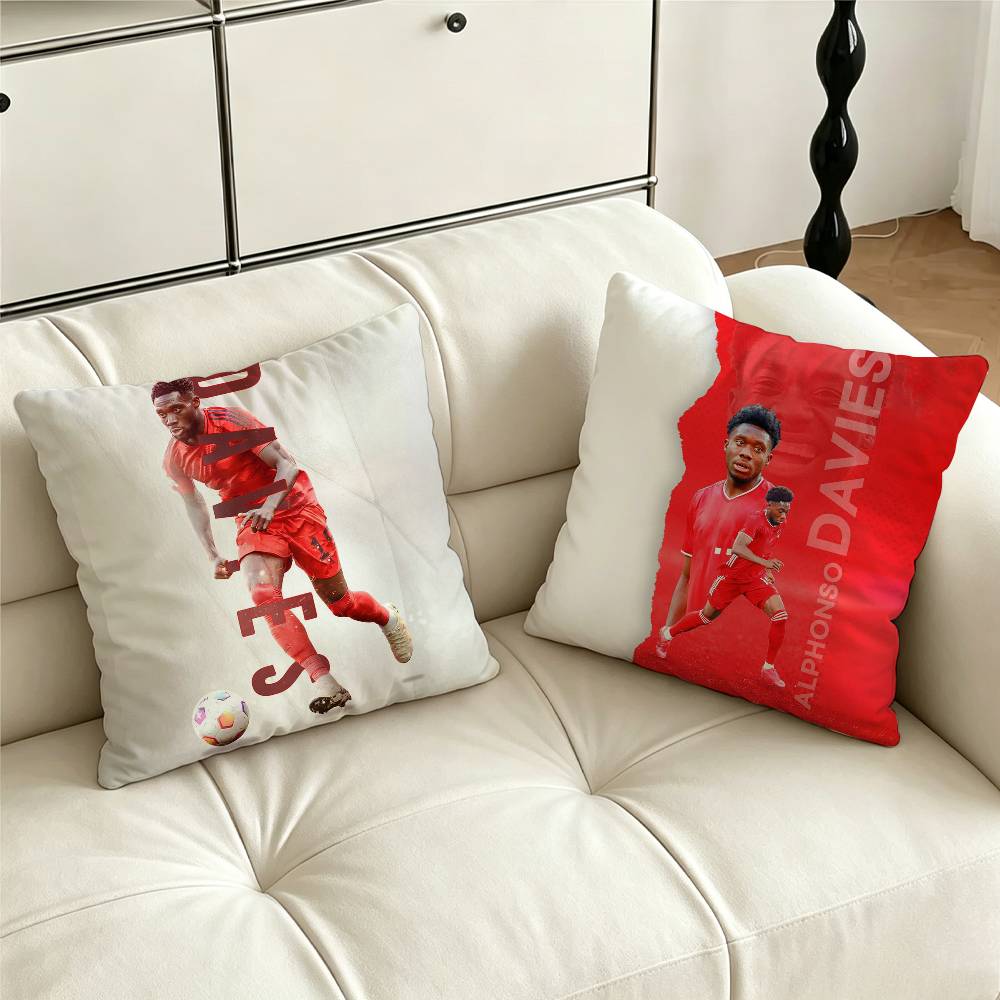 ปลอกหมอนอิง A-Alphonso D-Davie - Home Textiles Canada บทวิจารณ์และราคา