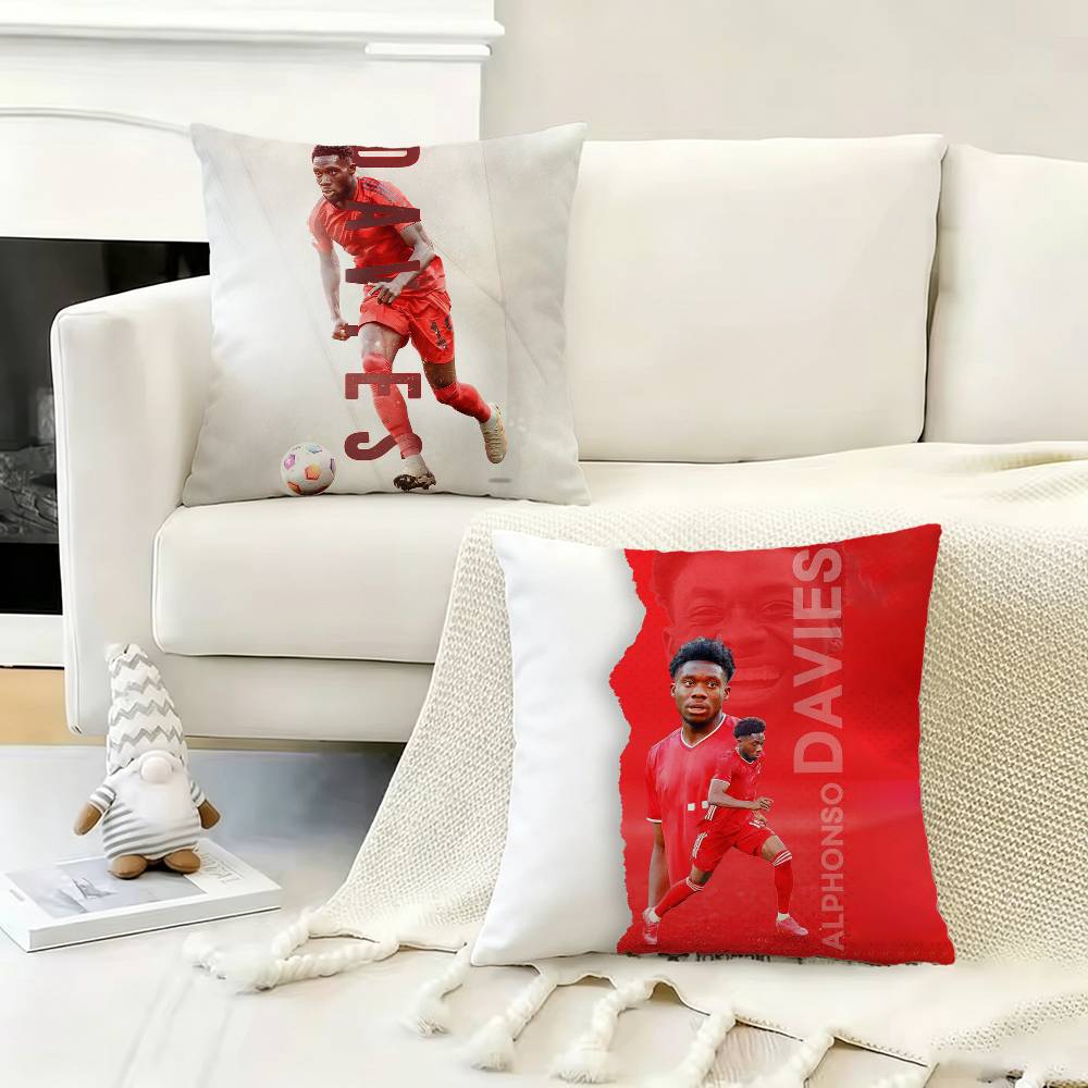 ปลอกหมอนอิง A-Alphonso D-Davie - Home Textiles Canada บทวิจารณ์และราคา