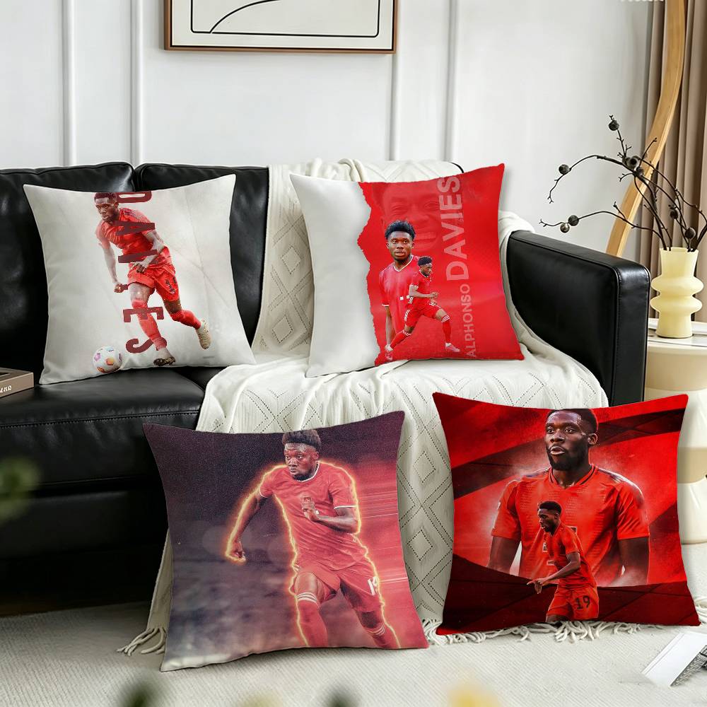 ปลอกหมอนอิง A-Alphonso D-Davie - Home Textiles Canada บทวิจารณ์และราคา